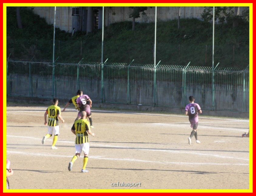 190310 Cephal_Torrenov 152_tn.jpg
